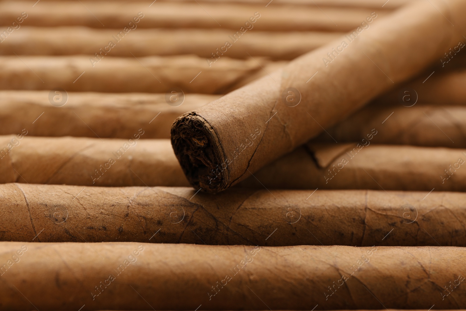 Photo of Many cigars wrapped in tobacco leaves as background, closeup