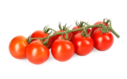 Photo of Branch of red ripe cherry tomatoes isolated on white