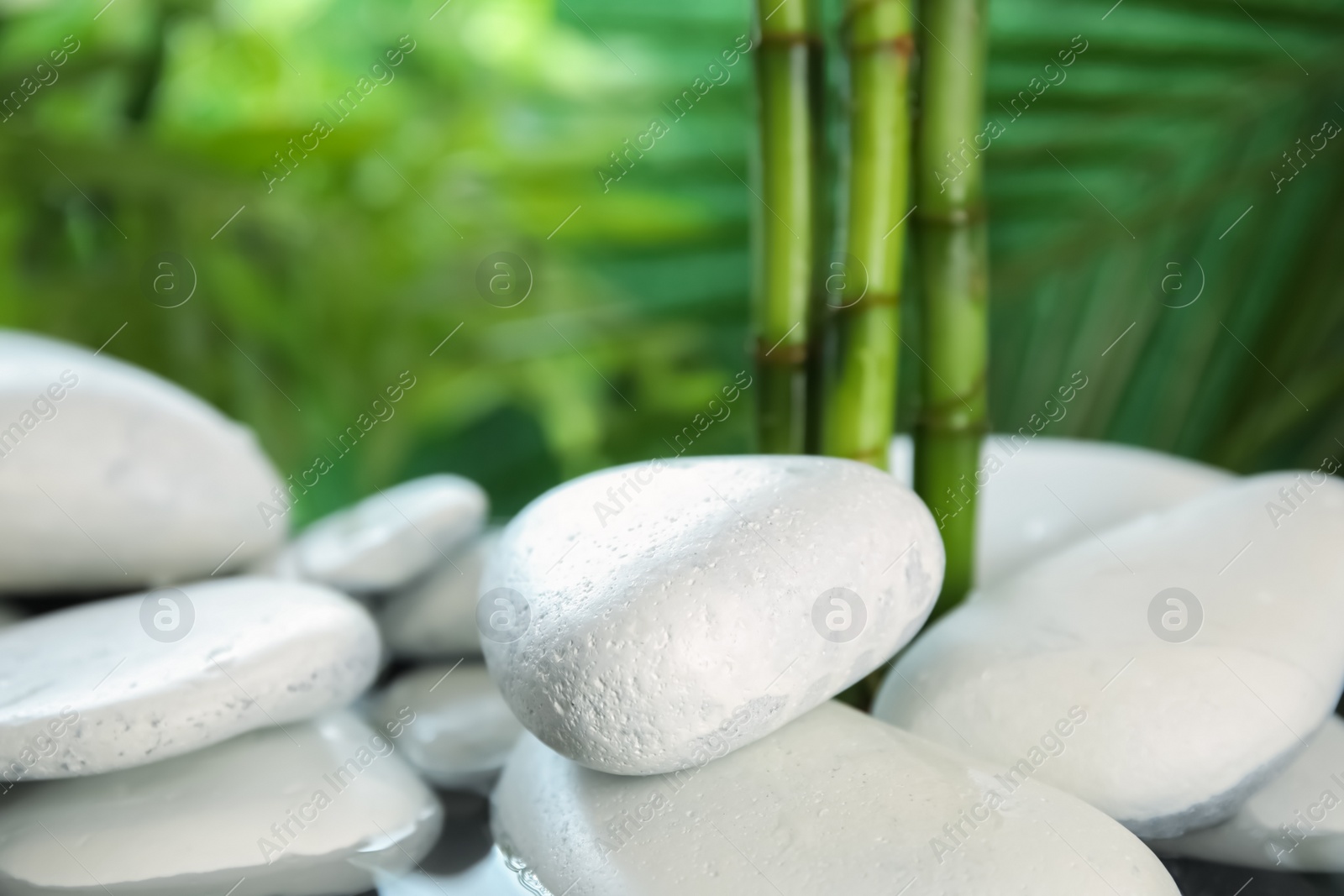 Photo of White zen stones on blurred background. Space for text