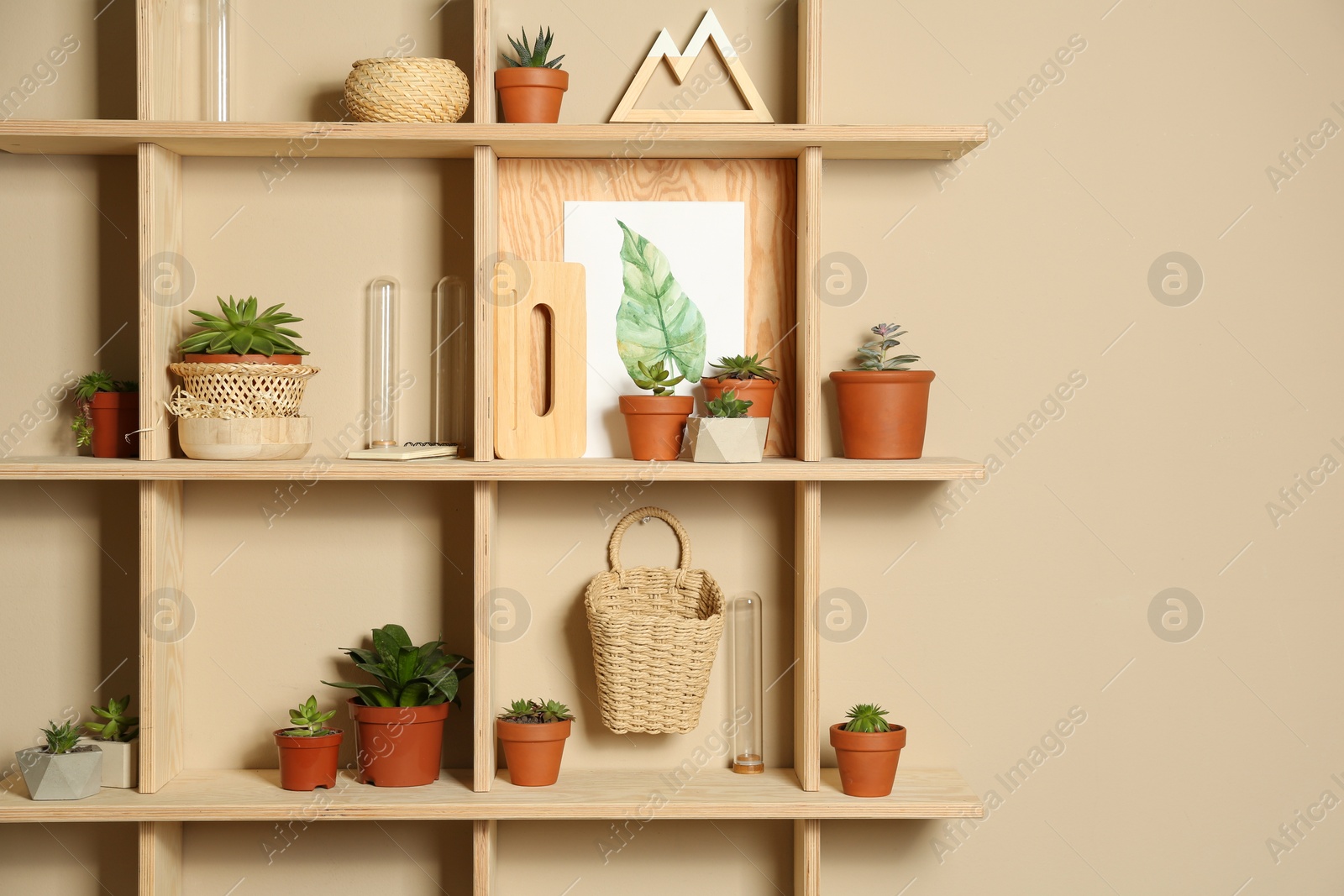 Photo of Wooden shelves with different decorative elements on beige wall