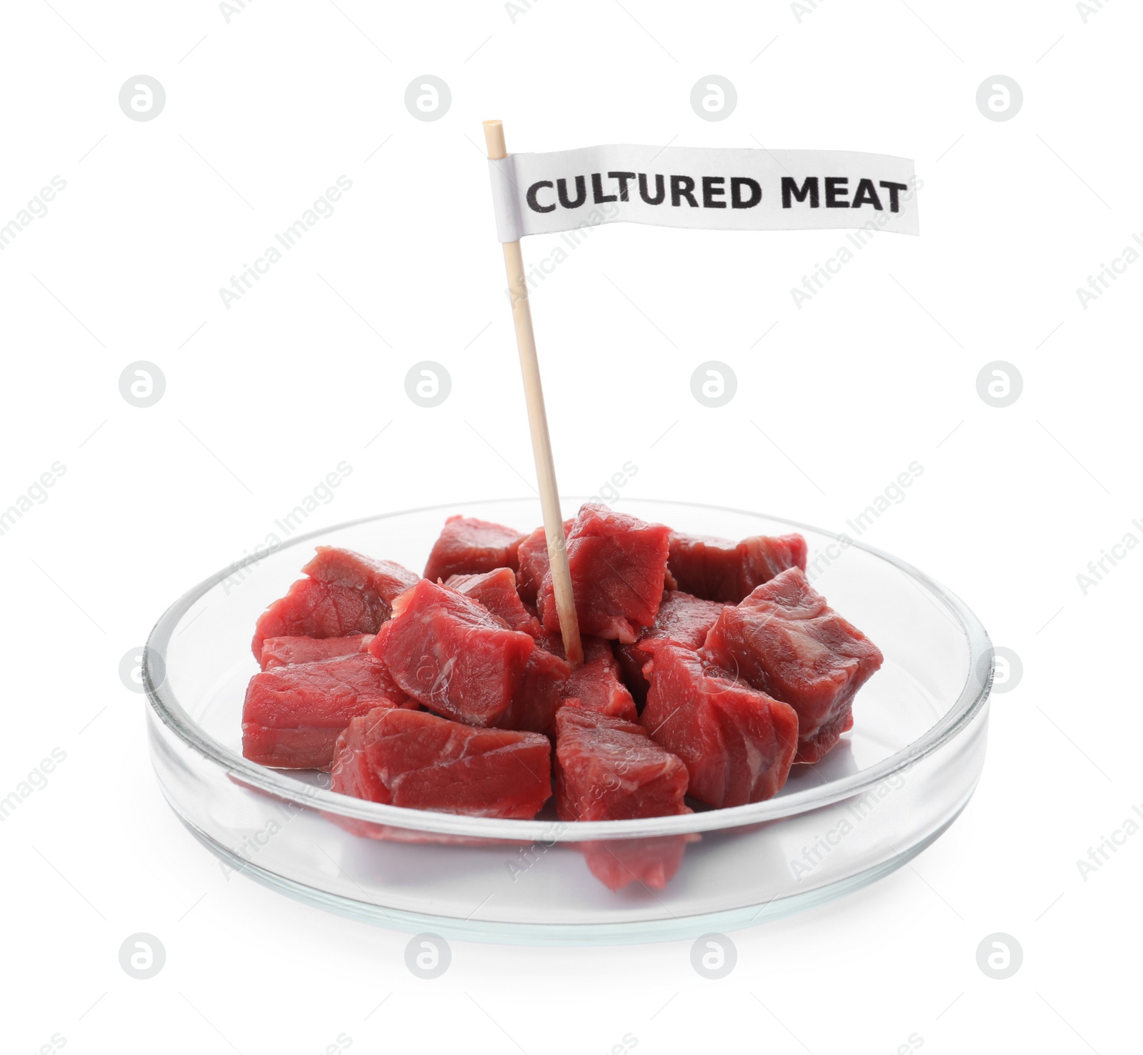 Photo of Petri dish with pieces of raw cultured meat and toothpick label on white background