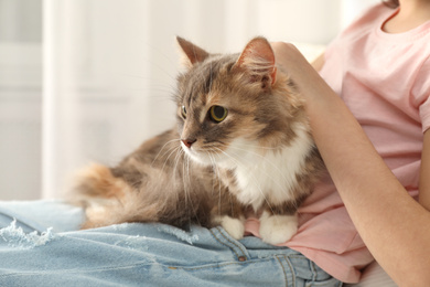 Cute little girl with cat at home, closeup. First pet