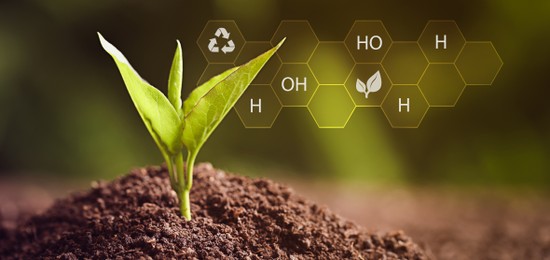 Illustration of chemical formula and young seedling growing in soil outdoors, closeup. Banner design