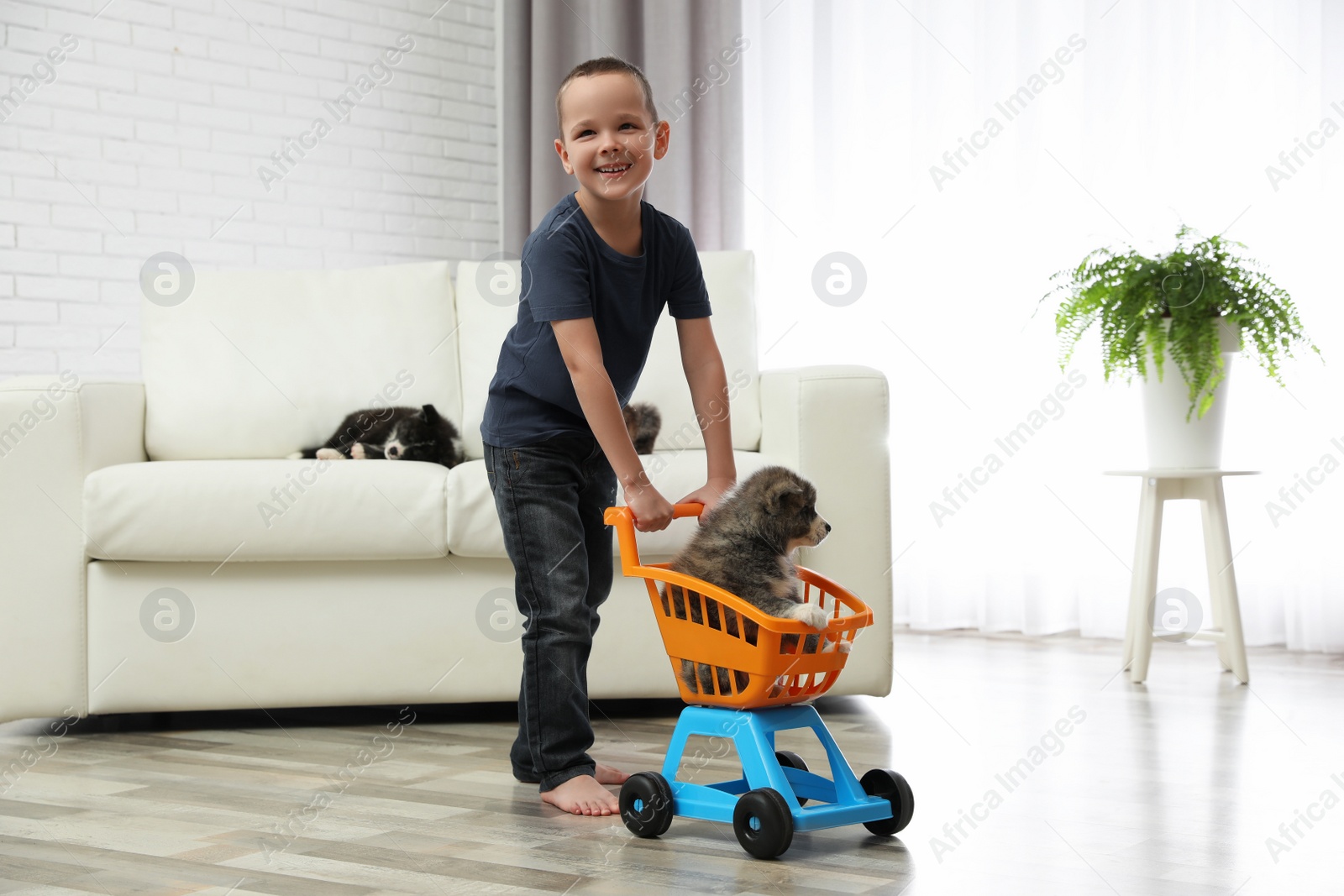 Photo of Little boy playing with Akita inu puppy at home. Friendly dog