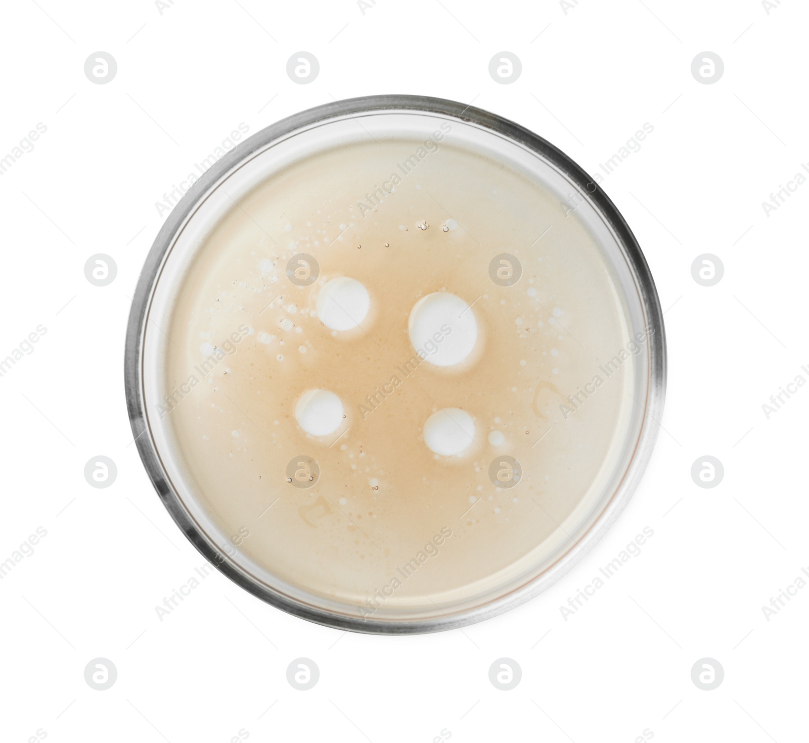 Photo of Petri dish with beige liquid isolated on white, top view