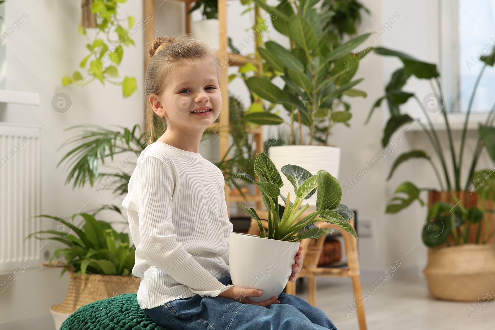 Photo of Cute little girl holding beautiful green plant at home. House decor