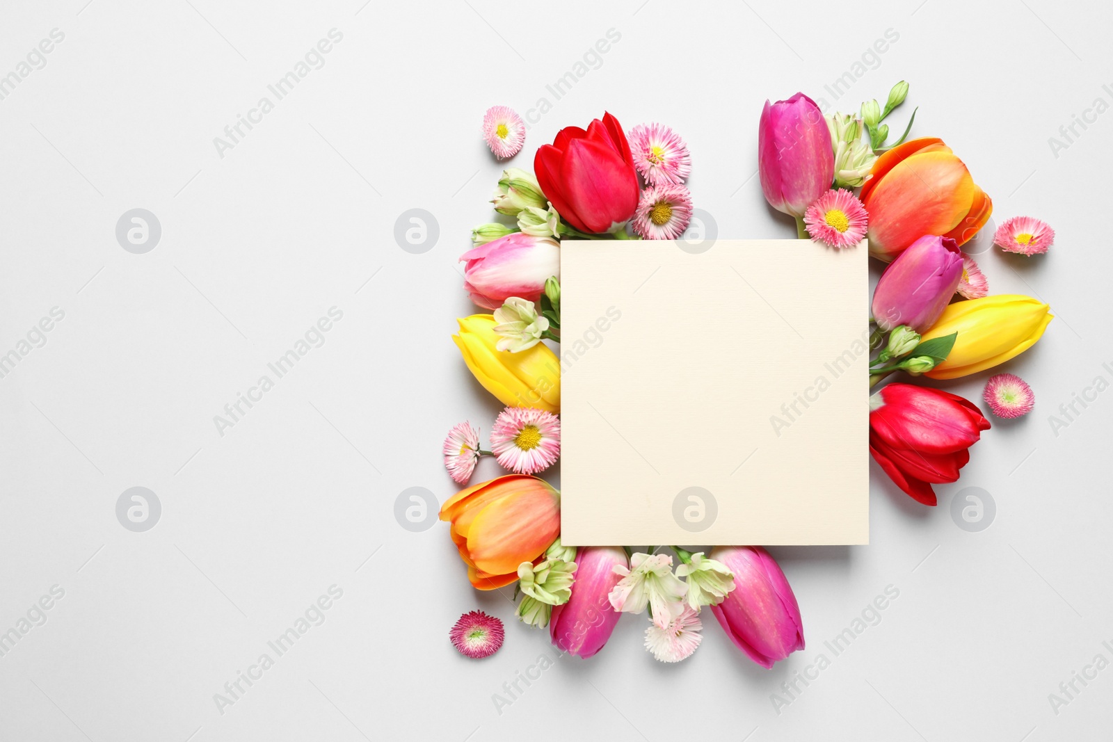 Photo of Beautiful composition with spring flowers and blank card on white background, top view. Space for text