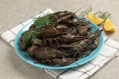 Photo of Fresh raw crayfishes with lemon and dill on light grey table