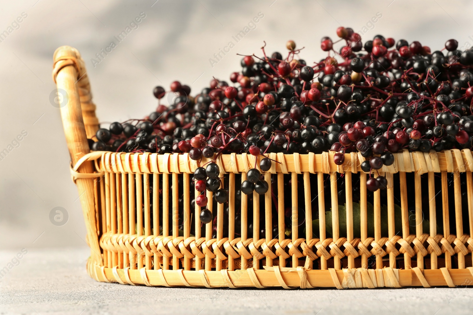 Photo of Ripe elderberries in wicker basket on light grey table, closeup