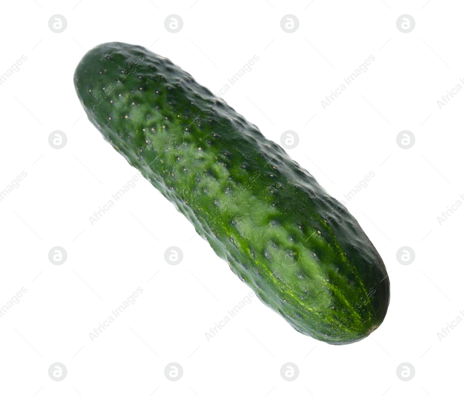 Photo of Fresh ripe green cucumber isolated on white