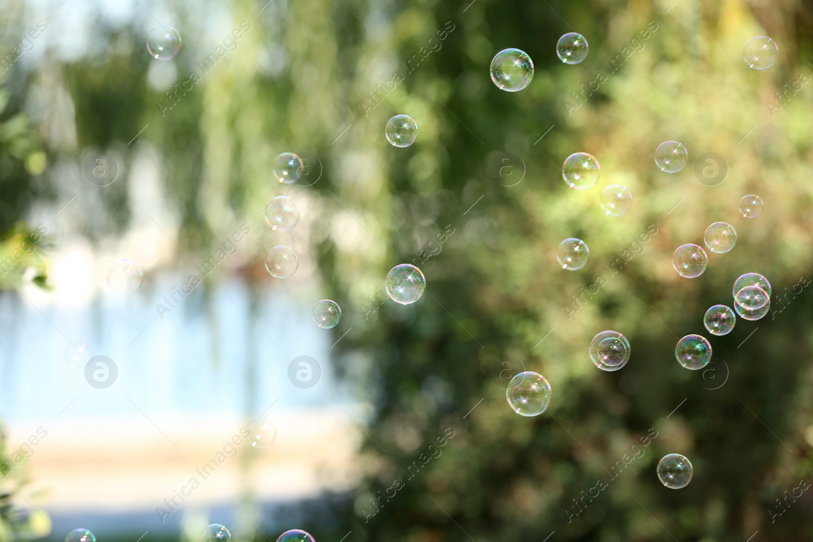 Photo of Beautiful translucent soap bubbles outdoors on sunny day