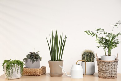 Photo of Green houseplants in pots and watering can on wooden table near white wall