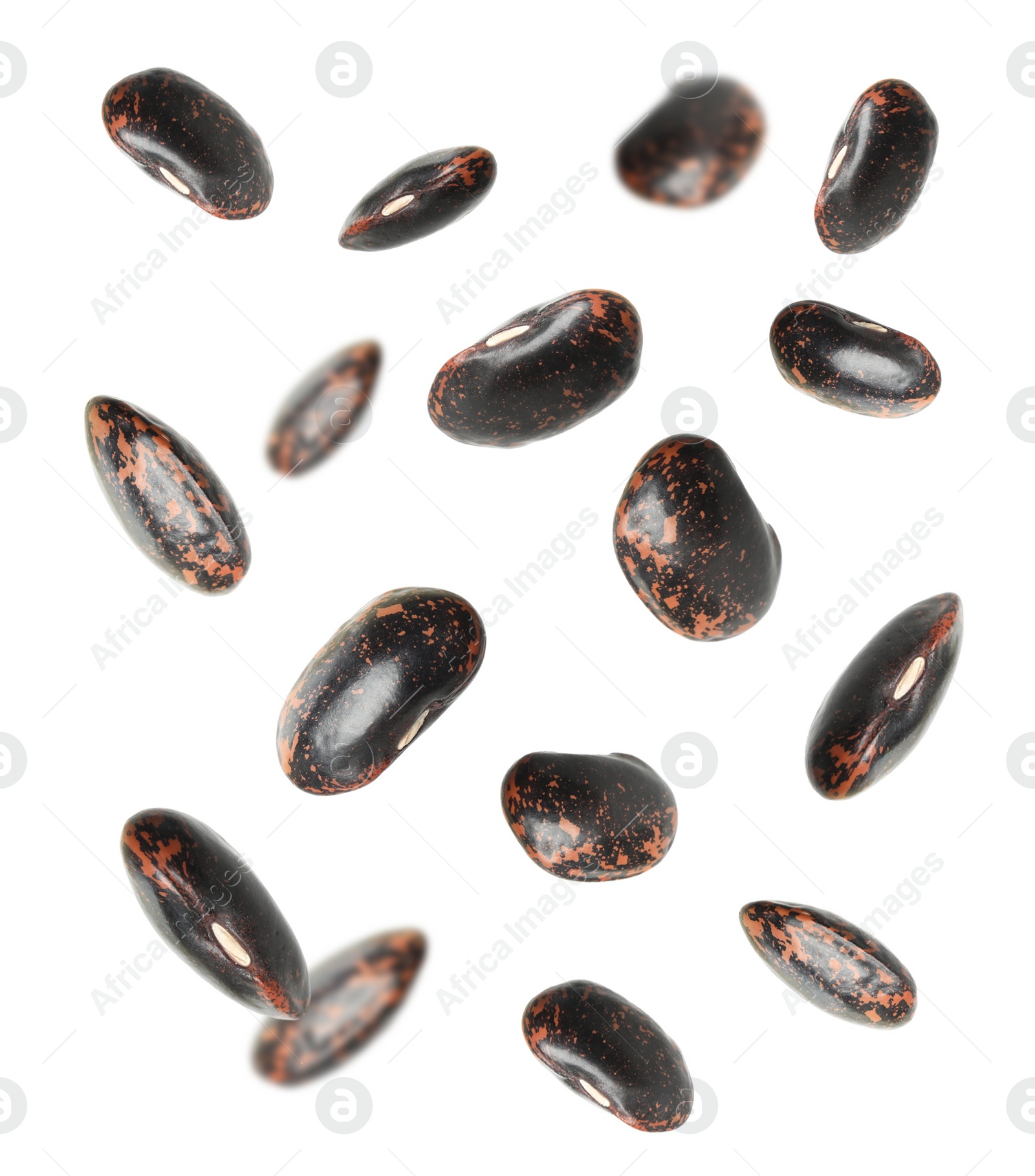 Image of Many black beans falling on white background. Vegan diet 