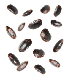 Image of Many black beans falling on white background. Vegan diet 