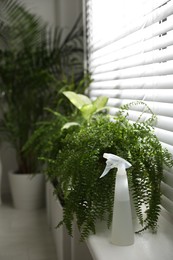 Photo of Beautiful plants and spray bottle on window sill at home. Space for text