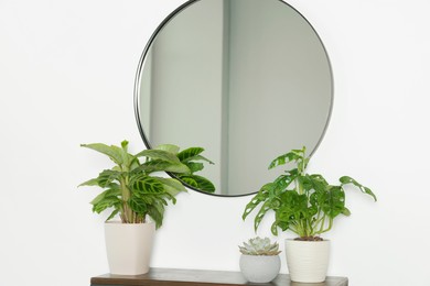 Photo of Stylish round mirror on white wall over table with houseplants in room