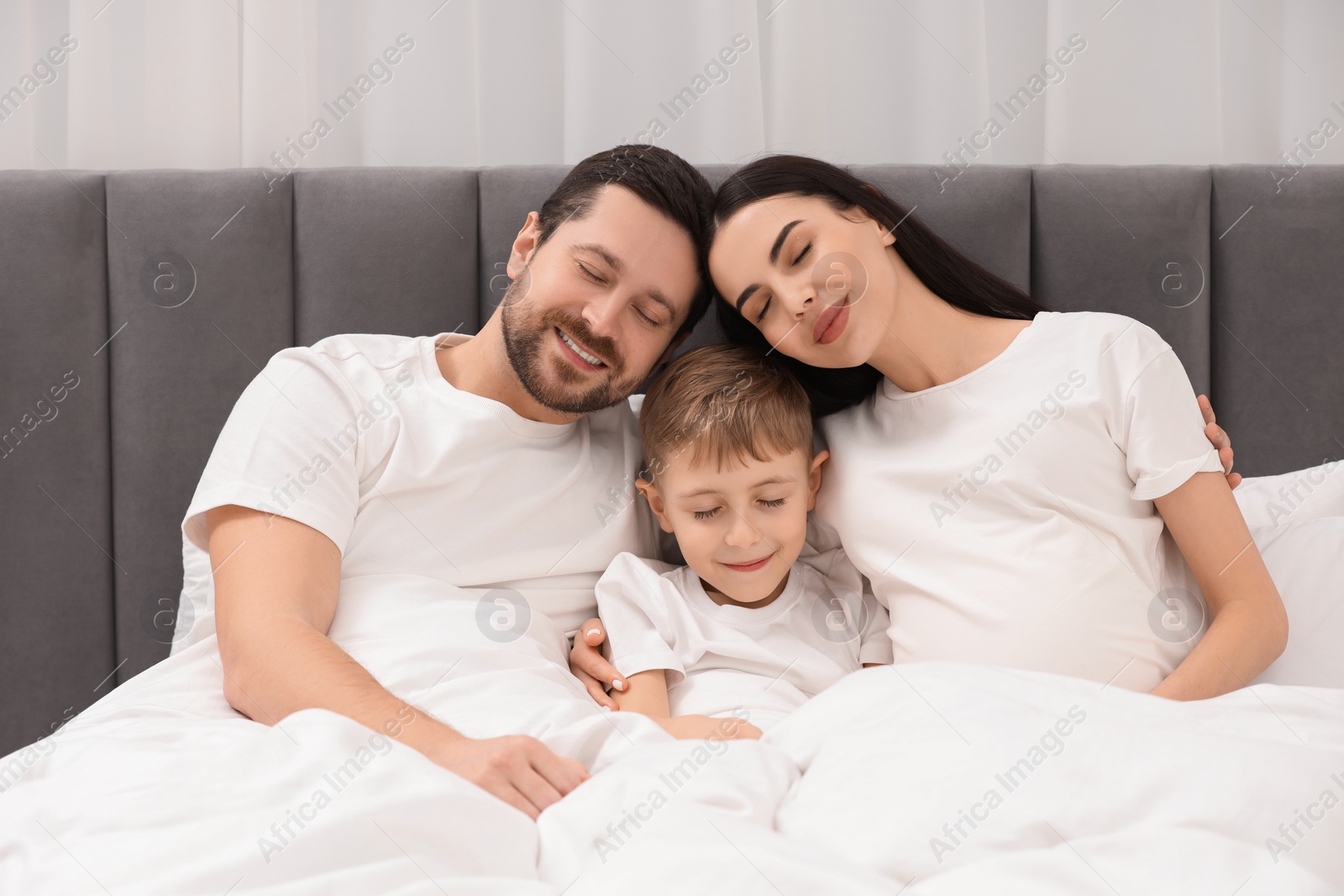 Photo of Pregnant woman with her son and husband in bed at home. Cute family