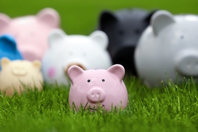 Different piggy banks on green grass outdoors