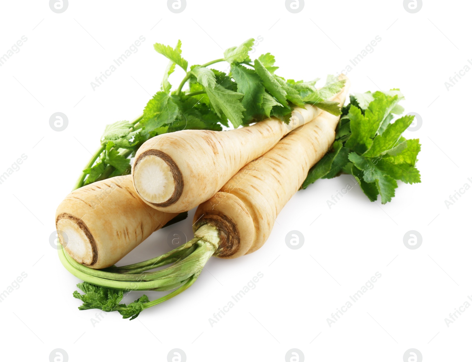 Photo of Tasty fresh ripe parsnips on white background