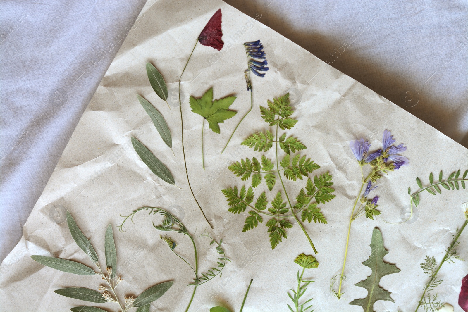 Photo of Sheet of paper with dried flowers and leaves on white fabric, top view