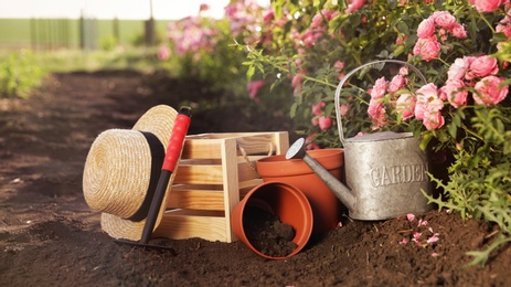 Straw hat, gardening tools and equipment near rose bushes outdoors