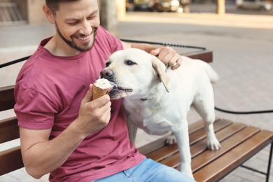 Photo of Owner treating his yellow labrador retriever with ice-cream outdoors