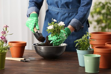 Photo of Woman transplanting houseplants into flower pots at wooden table indoors, closeup