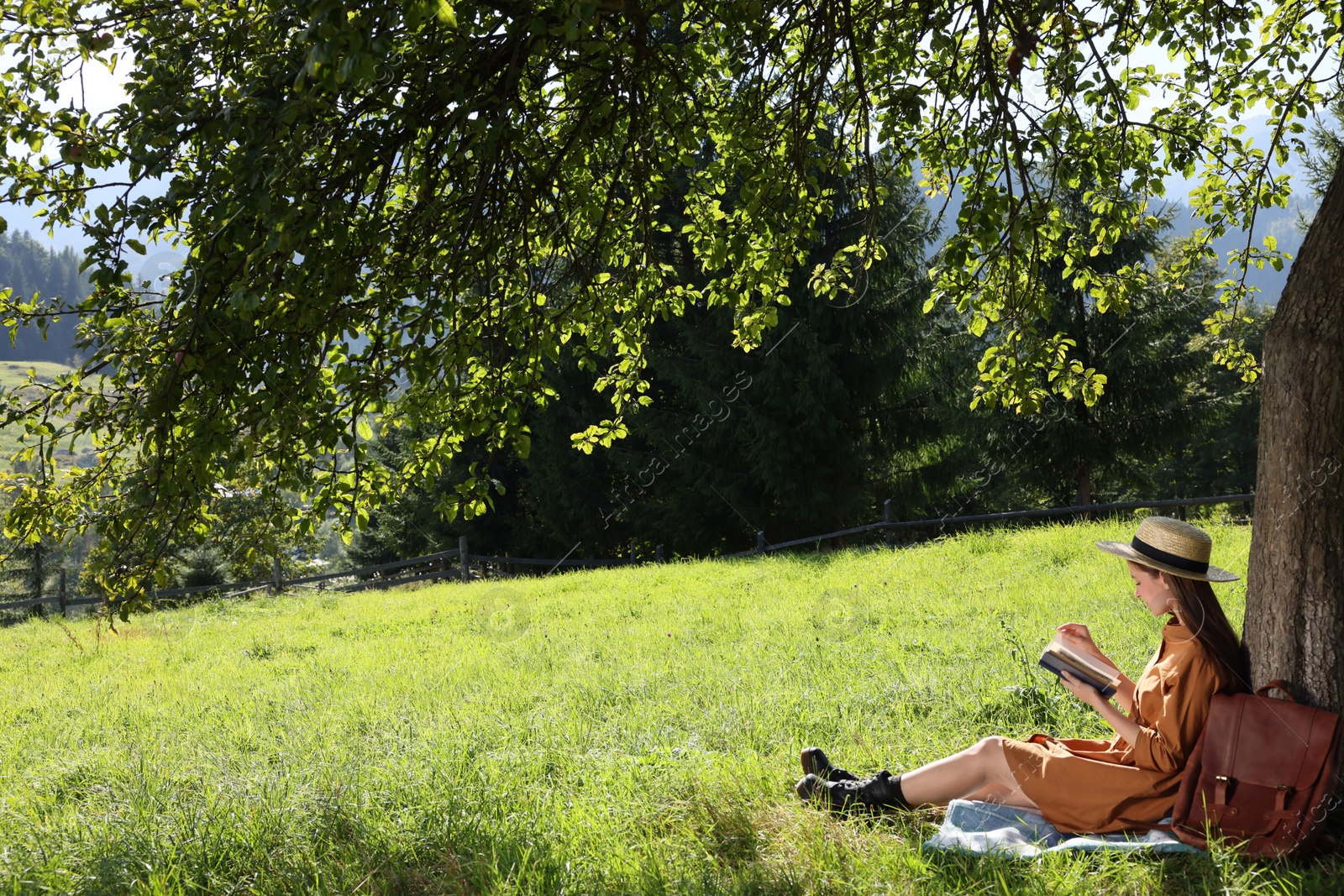 Photo of Young woman reading book under tree on meadow in mountains