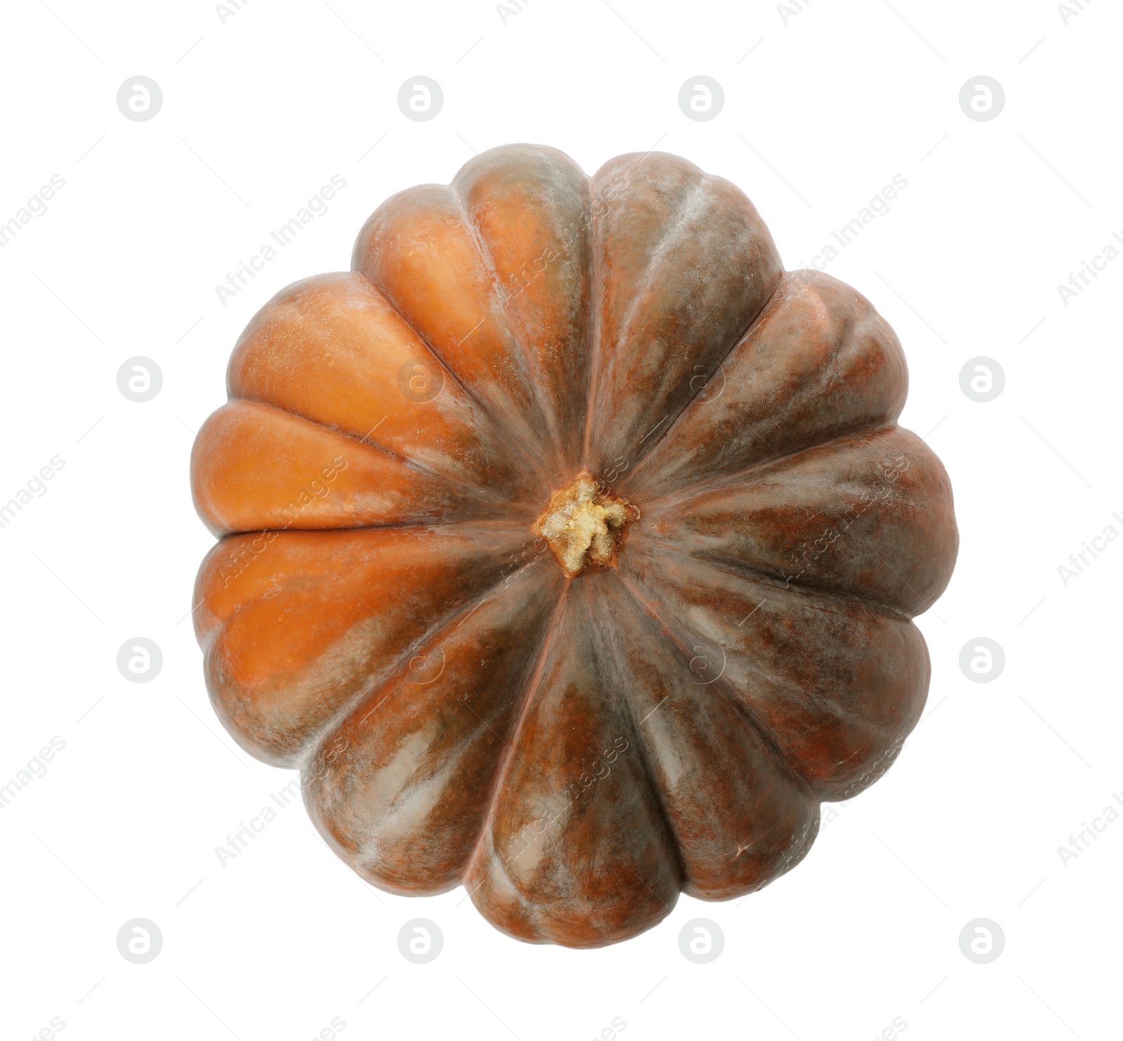 Photo of Fresh raw pumpkin isolated on white, top view. Organic plant