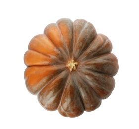 Photo of Fresh raw pumpkin isolated on white, top view. Organic plant