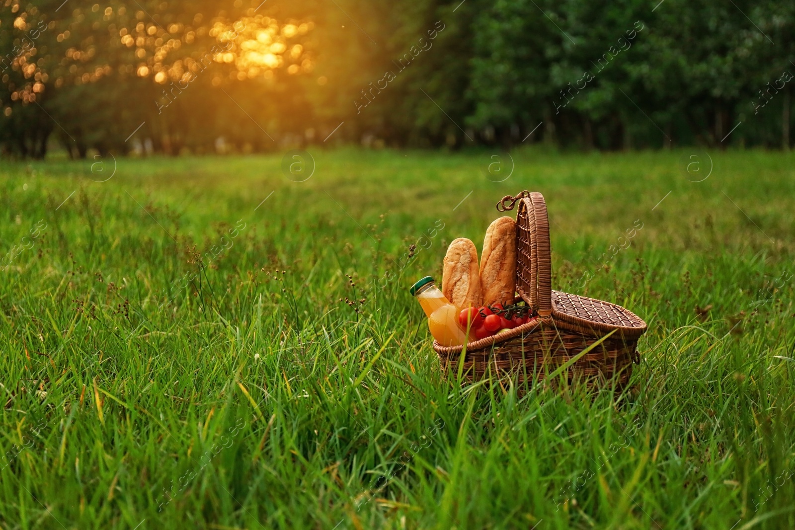 Photo of Picnic basket with snacks on green grass in park