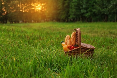 Photo of Picnic basket with snacks on green grass in park