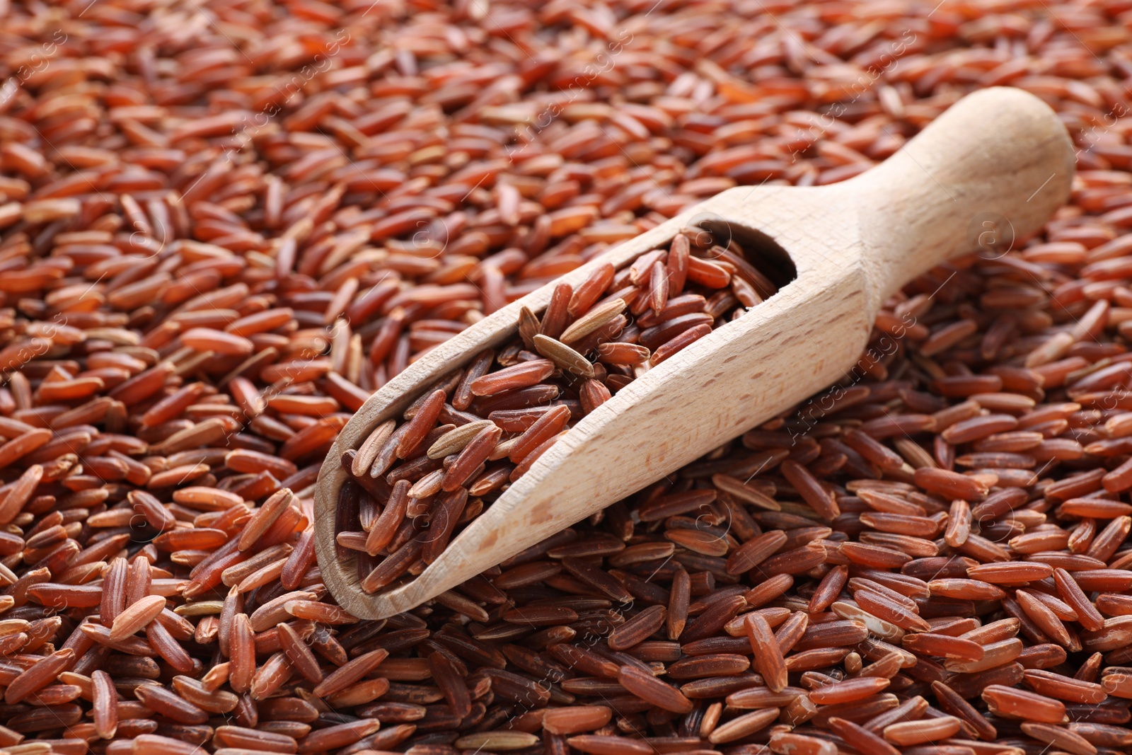 Photo of Pile of brown rice with scoop, closeup