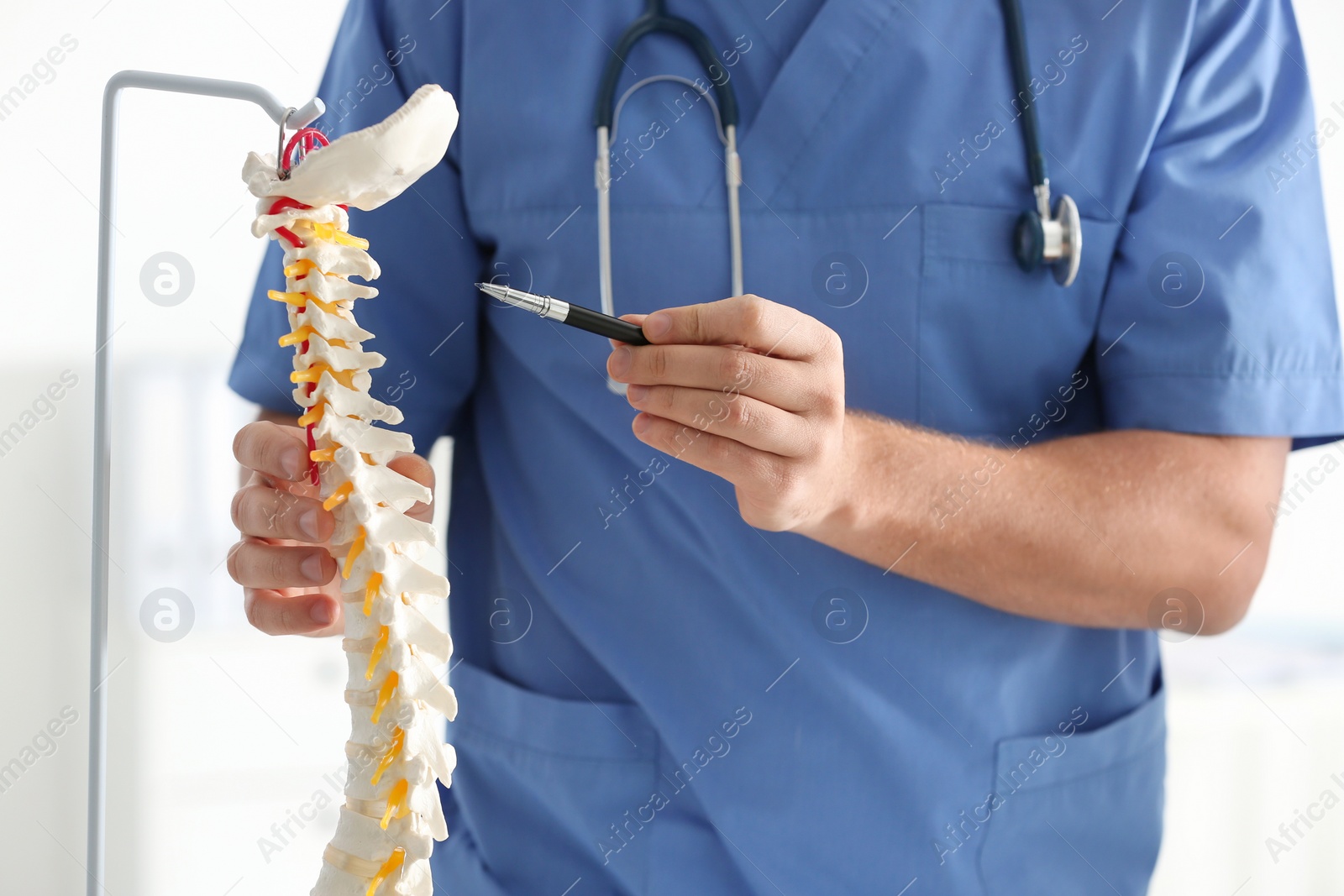Photo of Male orthopedist pointing on human spine model, closeup