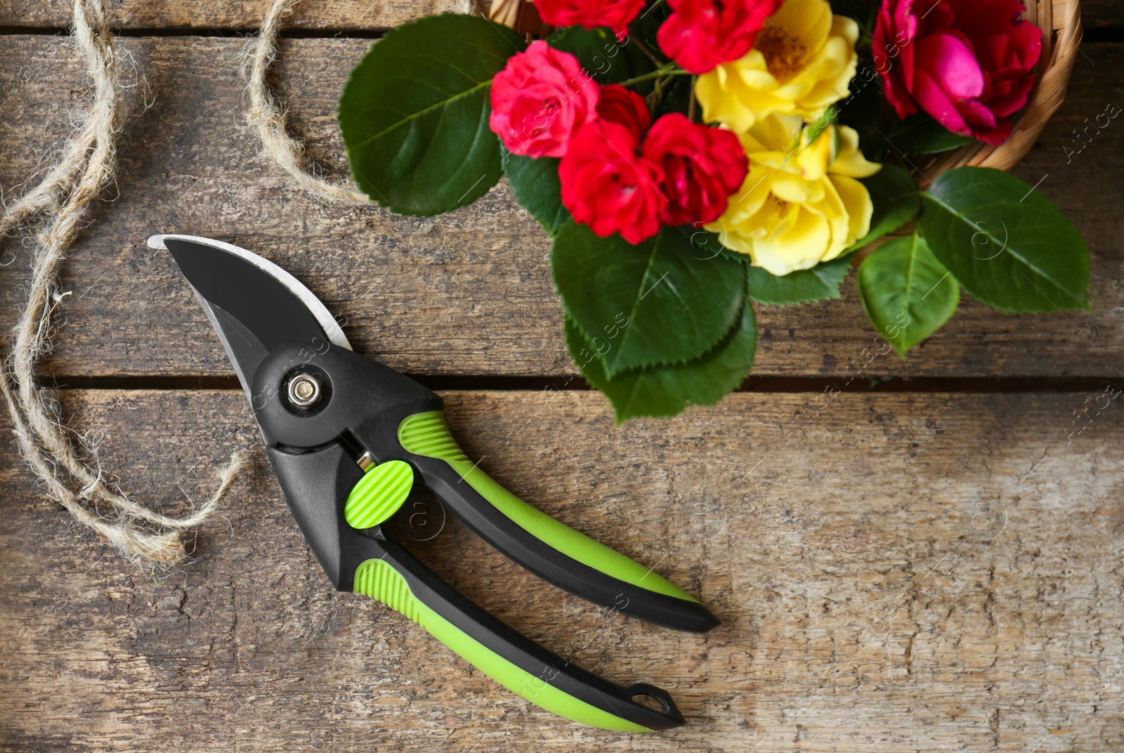 Photo of Secateur, beautiful roses and rope on wooden table, flat lay