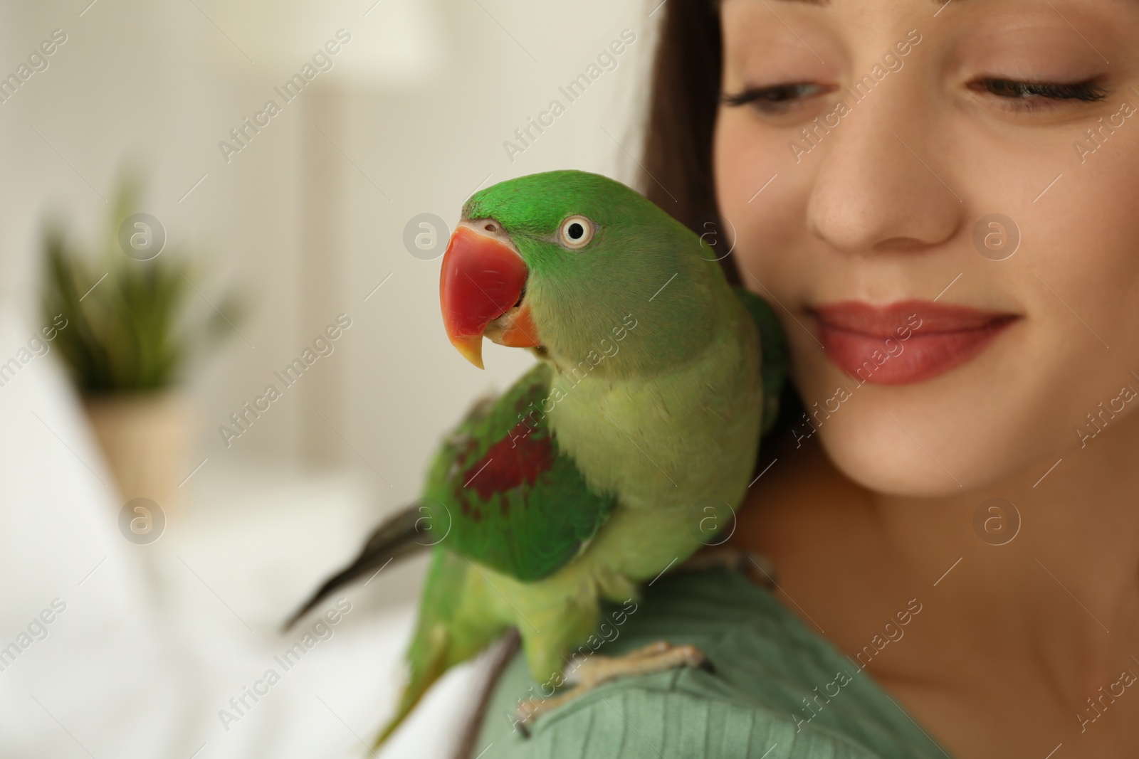 Photo of Young woman with Alexandrine parakeet indoors, closeup. Cute pet