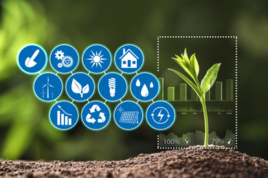 Image of Modern technology in agriculture. Green seedling and icons