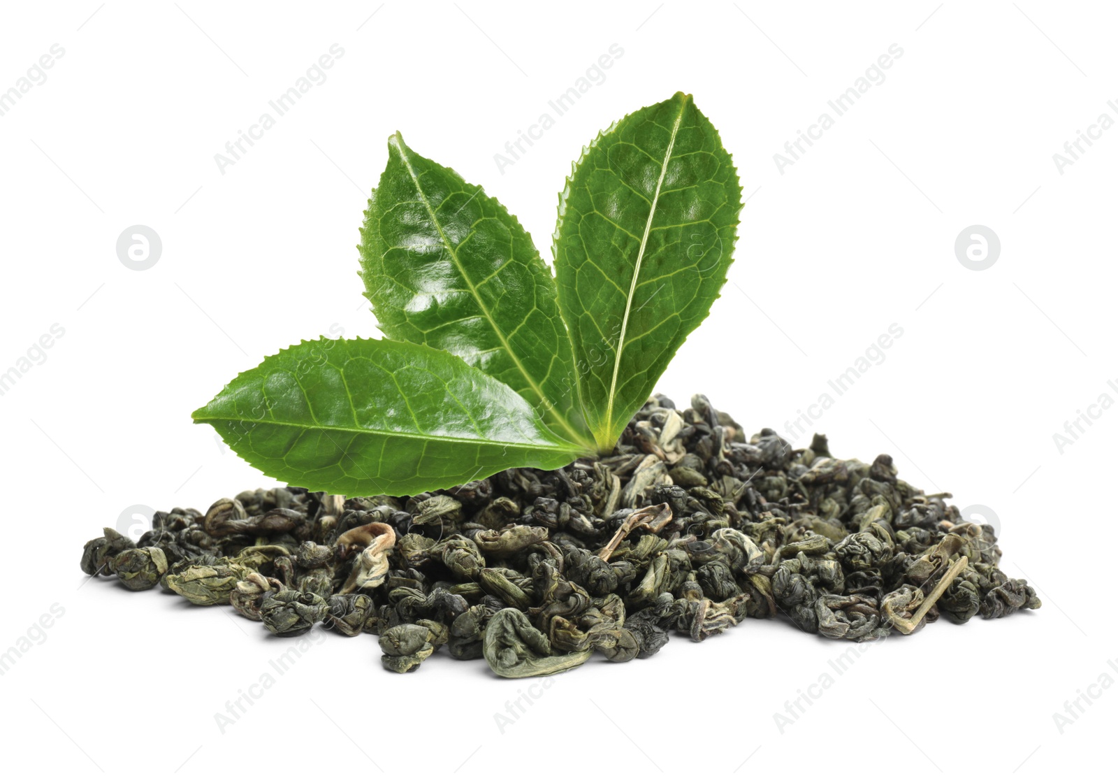 Image of Dry green tea and fresh leaves on white background 