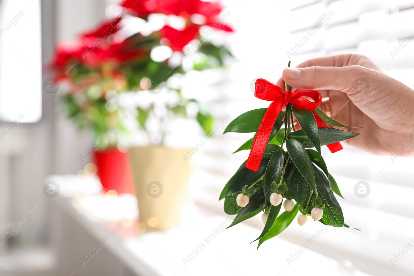 Photo of Woman holding mistletoe bunch with red bow indoors, closeup. Traditional Christmas decor