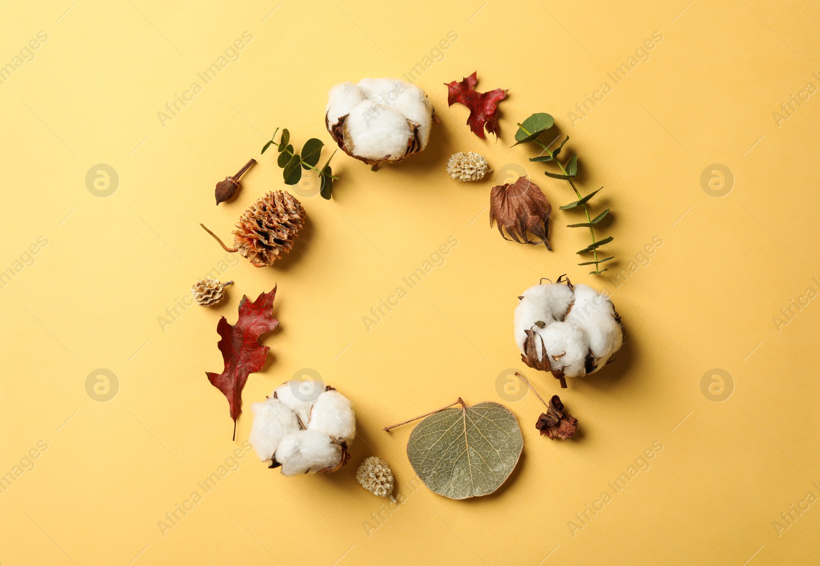 Photo of Flat lay composition with cotton flowers on yellow background. Space for text