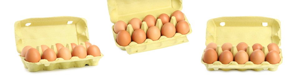 Brown chicken eggs in egg carton isolated on white, set