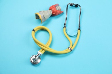 Endocrinology. Stethoscope and model of thyroid gland on light blue background, above view