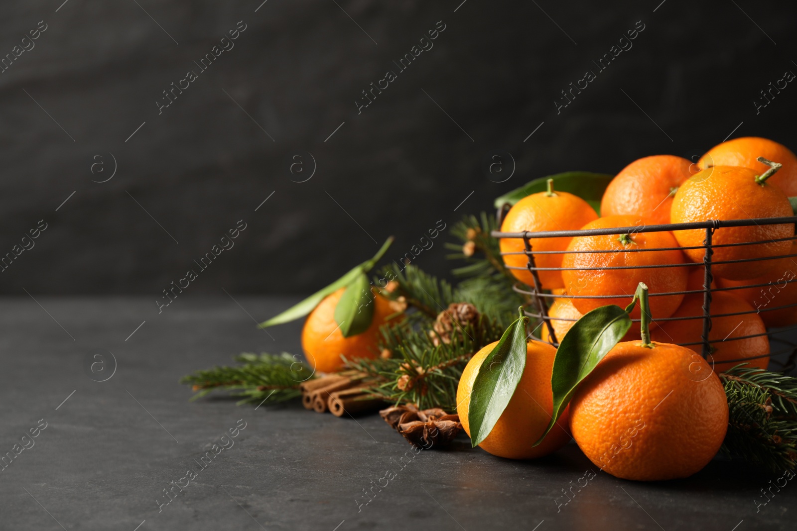 Photo of Christmas composition with tangerines on black background. Space for text