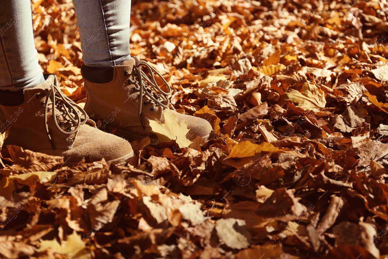 Photo of Woman standing on ground covered with fallen autumn leaves. Space for text