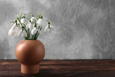 Beautiful snowdrops in vase on wooden table, space for text
