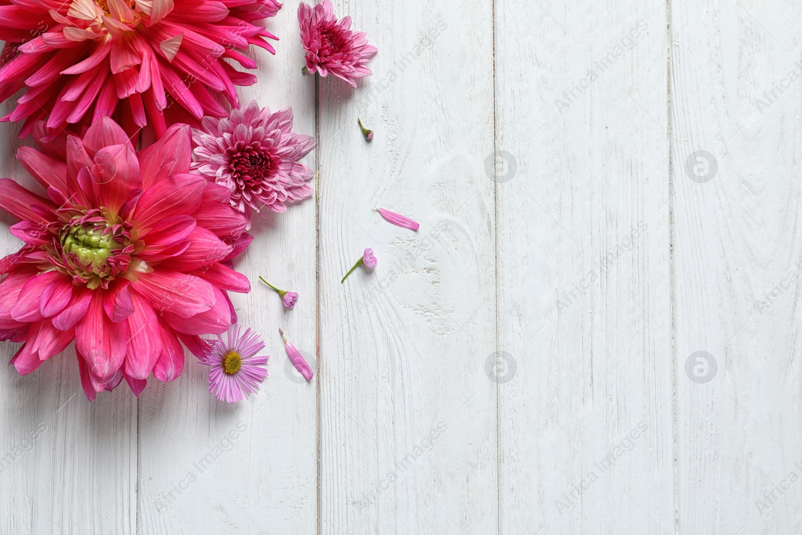 Photo of Flat lay composition with beautiful dahlia flowers and space for text on wooden background