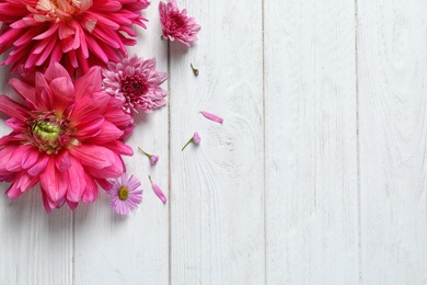 Flat lay composition with beautiful dahlia flowers and space for text on wooden background