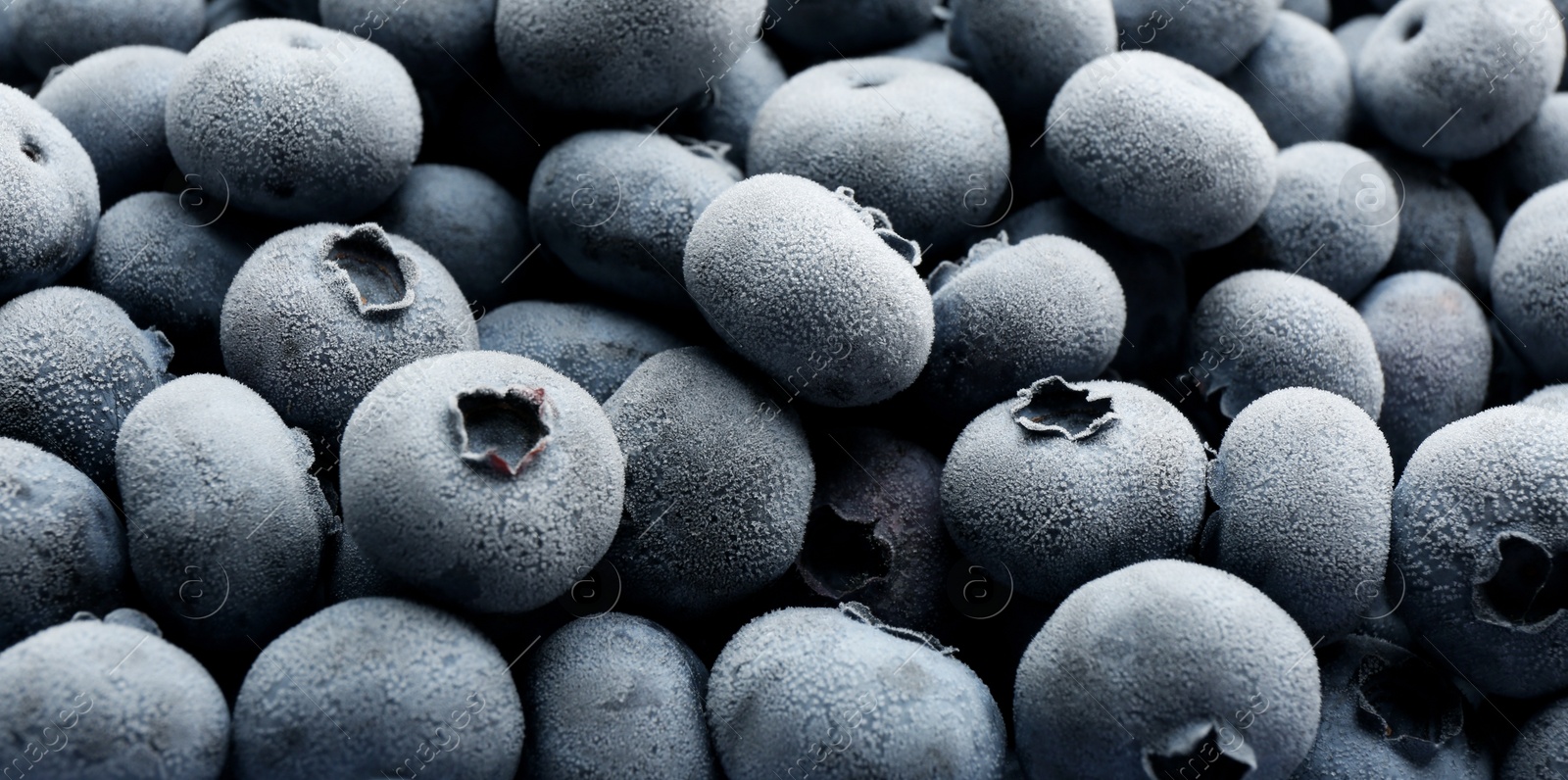 Photo of Tasty frozen blueberries as background, closeup view