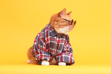 Photo of Cute ginger cat in stylish sunglasses and checkered shirt on yellow background