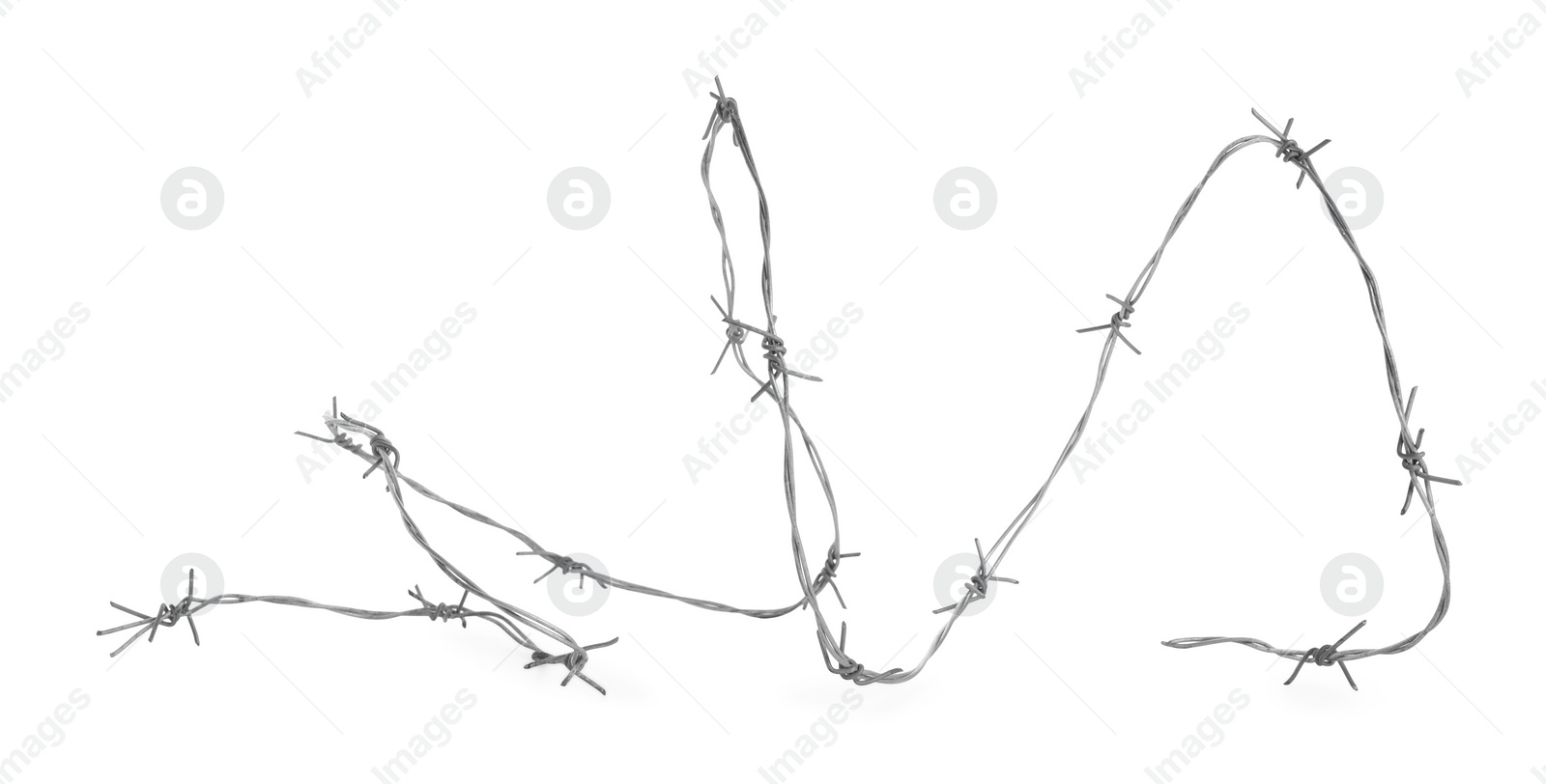 Photo of Shiny metal barbed wire isolated on white